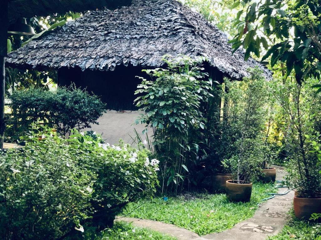 Khun Nai Tern Sai Hotel (Adults Only) Pai Bagian luar foto