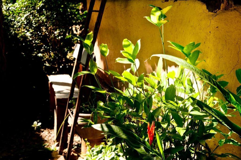 Khun Nai Tern Sai Hotel (Adults Only) Pai Bagian luar foto